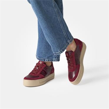 Paul Green Platform Laced Trainer - Wine Combi